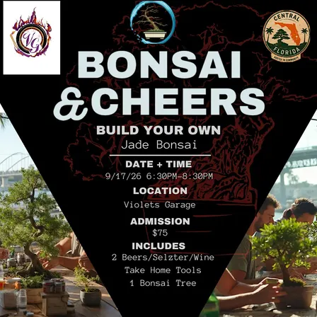 Bonsai & Cheers at Violets Garage | Jade Bonsai Workshop