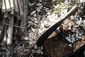 Traditional hedgelaying workshop