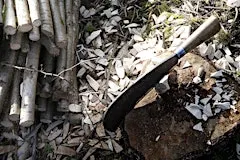 Traditional hedgelaying workshop