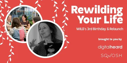 WILD Relaunch: Celebrating 3 Years of Women in Lancaster Digital