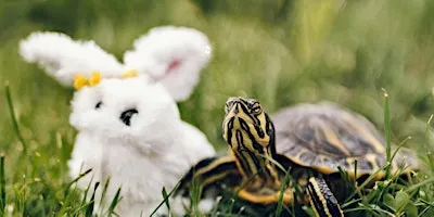 Slow Coaching for writers: monthly group mentoring with Beverley Ward