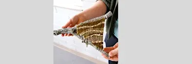INTRO TO BRANCH WEAVING: Sunday, November 22, 1:00 – 5:00pm