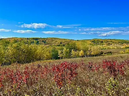 Fall Wellness Retreat ~ Restore and Reconnect in Nature