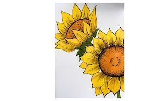 October drawing : Sunflower Study