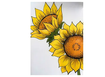 October drawing : Sunflower Study