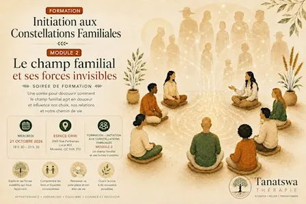 Formation iniation constellations Familiales – Le champ familial