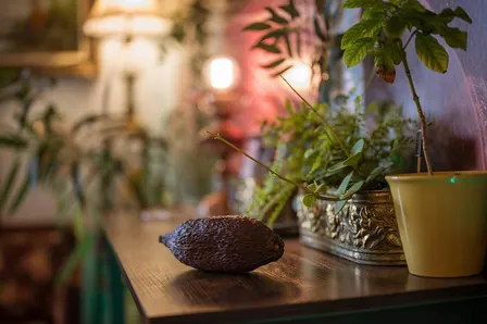 Taste Over 5000 Years Of Chocolate History