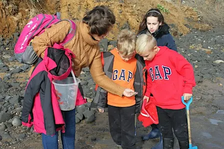 Naze Fossil Discovery, Home Education Session
