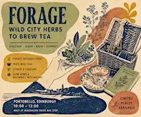 Forage, Brew & Sip: A Wild Tea Walk in Edinburgh
