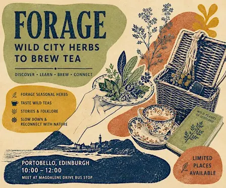 Forage, Brew & Sip: A Wild Tea Walk in Edinburgh