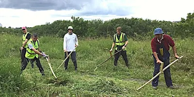 Learn To Mow With An Austrian Scythe