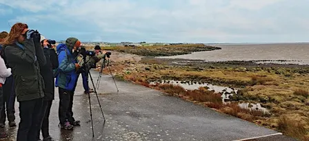 Sea Watch - Heysham