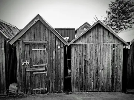 Wood Shed & 3D Printing