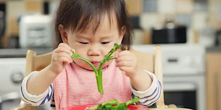 Introduction to Solid Foods Workshop 09:30-11:00, 13/10/2026