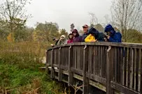 Guided Bird Watching and Nature Walk at Knowle Park