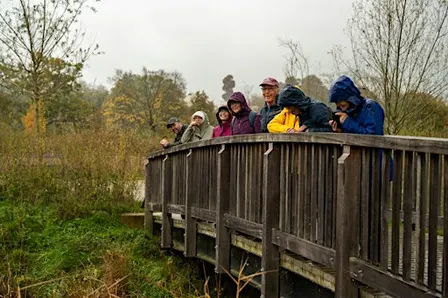 Guided Bird Watching and Nature Walk at Knowle Park