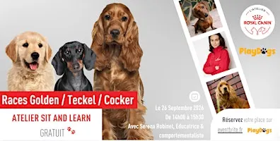 Atelier Sit & Learn - Races Teckel / Cocker / Golden