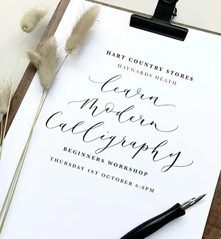 Modern Calligraphy workshop