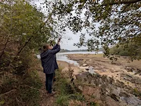 Seed Collecting with Moor Trees at Venford Reservoir