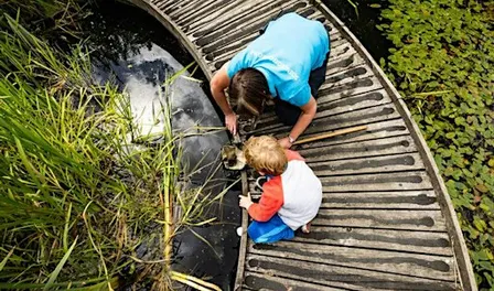 Home Educator Day - Pond Dipping