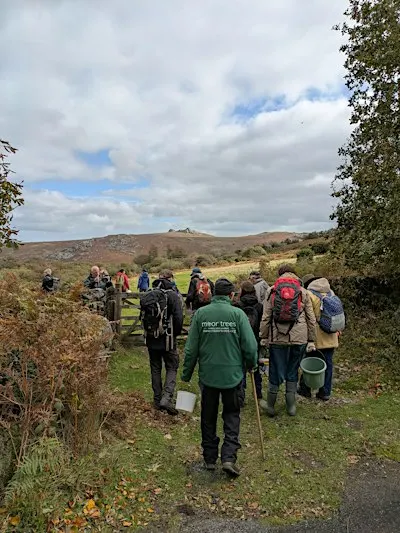 Seed Collecting with Moor Trees at Emsworthy Mire