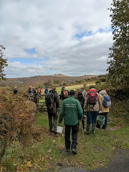 Seed Collecting with Moor Trees at Emsworthy Mire