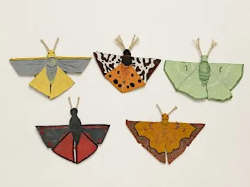 Native Pollinator Craft Session