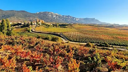 Wine Class - Single Vineyard Rioja