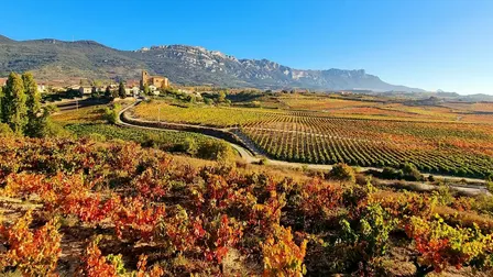 Wine Class - Single Vineyard Rioja
