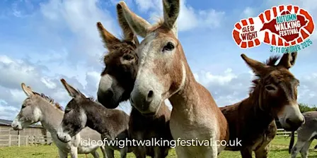 IOW Donkey Sanctuary to Godshill via Appuldurcombe - 4 Oct (Donation)