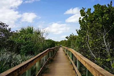 Hanna Park Outing - Florida Young Birders Club (NE Florida Chapter)