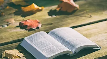 Women in the Word