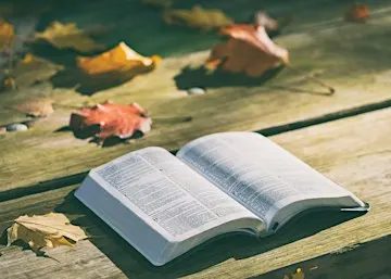 Women in the Word