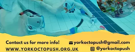 Give Octopush a Go! FREE taster session