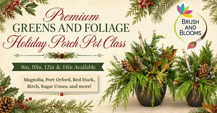 Premium Greens and Foliage Holiday Porch Pot Class