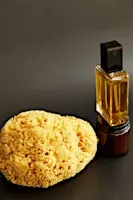 IAO Collections Smelling Session: Men's Department (in person)