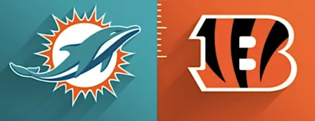 Orlando to Miami: Dolphins vs. Bengals Game Day Stadium Shuttle