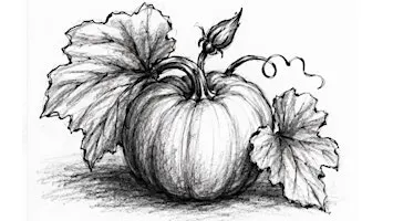 Charcoal  Pumpkin Drawing Class for Adults and Teens