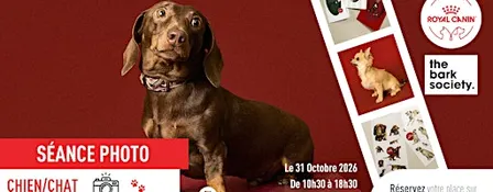 Atelier photos - Immortalisez-vous avec votre chien ou chat !