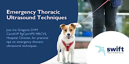 Emergency Thoracic Ultrasound Techniques