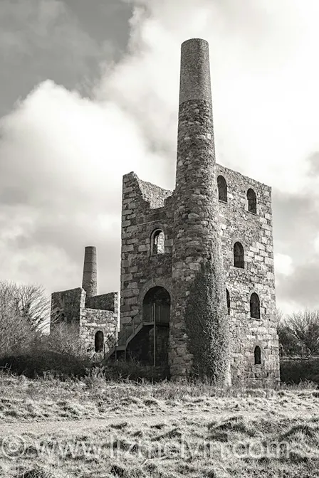 Copy of Natural Networking Redruth