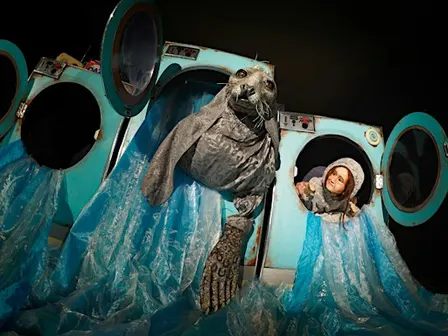 Seven Tears of the Selkie