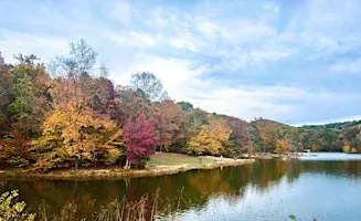 Fall Frolic: Half-day Hiking and Yoga Retreat