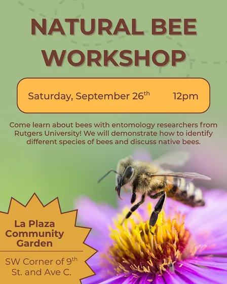 NATIVE BEE WORKSHOP