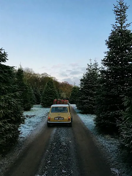 Charity Christmas Classic Mini Run 2026