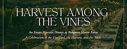 Harvest Among the Vines: An Estate Harvest Dinner at Bohemia Manor Farm