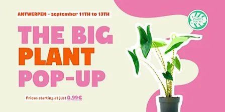 The Big Plant Pop-up - Antwerpen