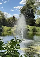 Wellbeing Bubble Walk for Grief & Loss - Hothfield Heathlands & Lake House