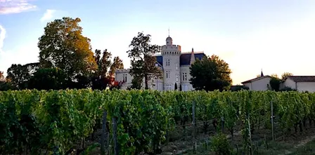 Bordeaux Wines and English Cheese with Cheese at Turnpins