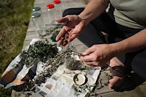 Foraging & Basket Making with Silo & STORE Projects: Camden Inspire
